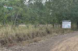 High density estate for Thagoona