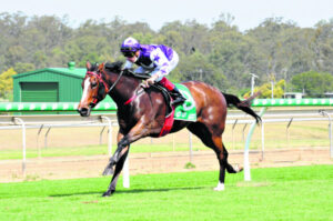Happy horse means happy people too of course