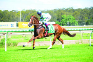 Fradd offers his services to mentor raw talent