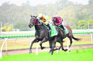 Ipswich Racing: Meeting cut short denies Nolan treble chance