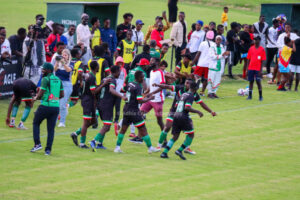 Ipswich showcases African community skills