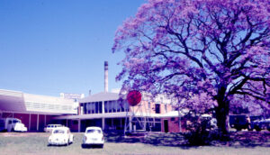 Jacaranda butter site ready for new era