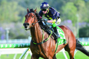 Horse companionship works for Mitch and mates