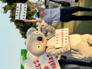Saving Woogaroo Forest a hoot