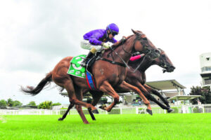 Cody sets his sights on apprentice title