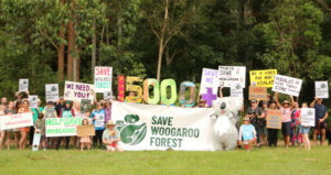 15,300 signatures as forest fight ramps up