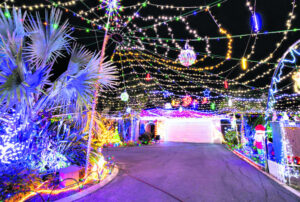 What’s On In Ipswich – 11th December 2024