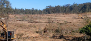 Premier’s promise bulldozed by developers