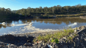 Cleanaway dodges $36M fine, instead gets $660k