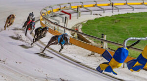 The Q’s rich prizemoney, trainer lure for Ipswich, Queensland racing