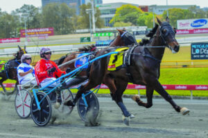 Border Trots 29th November 2023