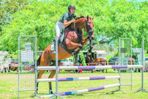 Passion for horse welfare drives Felicia