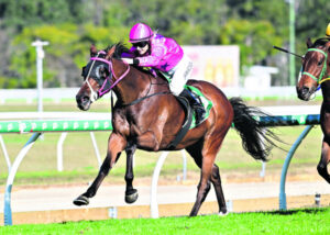 Bargain-basement mare lifts Kevin’s spirits