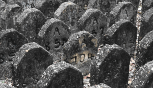 Names for unmarked Goodna asylum graves