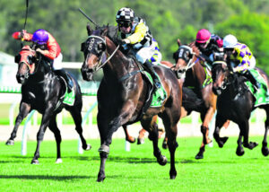 Donna’s happy in charge of Mike’s horse empire