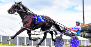 Border Trots 25th October 2023