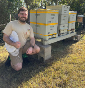 Buy local honey as varroa mite hits Lockyer Valley