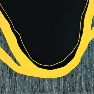 Ipswich Artists need your Vote (Get your ARTS into Gear)