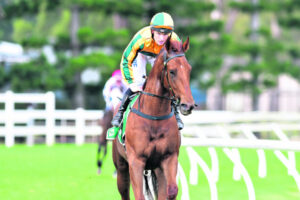 Powell has the right attitude to succeed