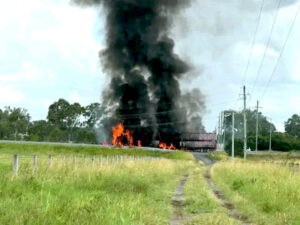 Man dead, cattle euthanised