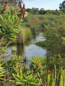 Big spend to revive SEQ’s waterways