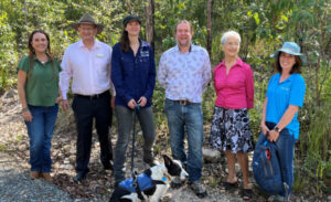 Koala funding lifeline for region