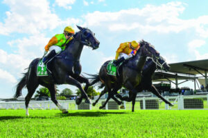 David laments loss of hard-working staff