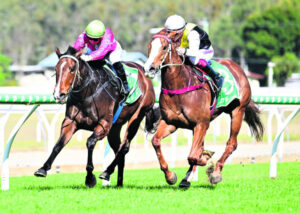 Wayne prepared to go full on as trainer