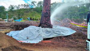 Flood recovery supports environmental action