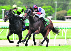 Top jockey Dale gets first training win