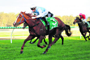 Ipswich Racing: Ross revels in drought-breaking win at Ipswich