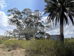 YUP not sold on developer’s land deal