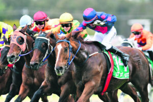 Hard-working Apthorpe rewarded with long-shot winner