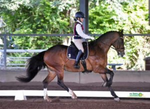 Rosewood club boots ahead for new season