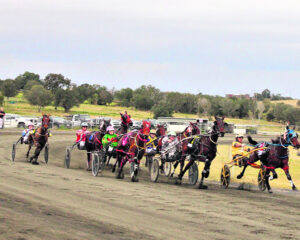 Border Trots 24th May