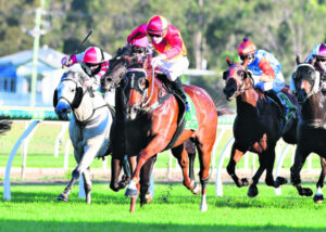 Sears eyes off city win with Snowfire