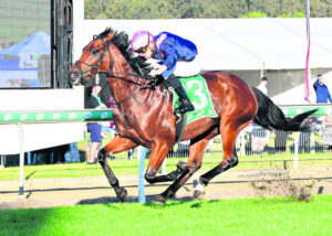 Holyfield christens Neasham and Loy partnership