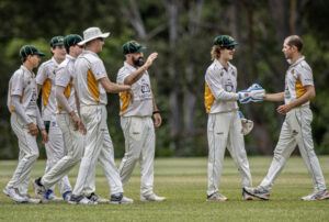 Will’s cricket return halts Tigers attack