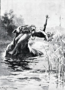 OUR HISTORY – A most singular animal