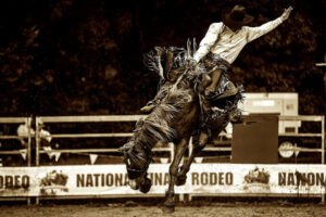 Rodeo national finals event for Showgrounds