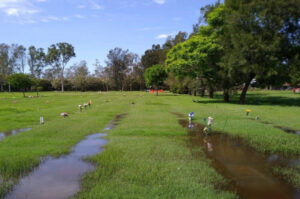 Emergency works for plaques at flooded cemetery