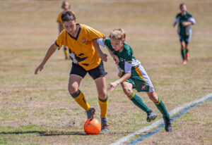 Country carnival gives Rosewood club major boost