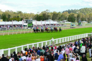 Numbers fall on Cup Day despite glorious weather