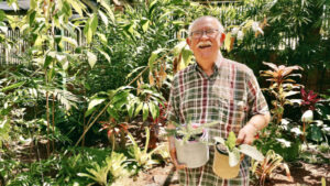 The history of a Silkstone garden