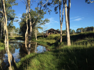 How you can help stop bulldozing of Scott’s Farm