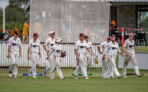 Beaten Hornets still buzzing after season of major progress