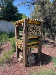 On campus and beyond, bee hotel hope for future