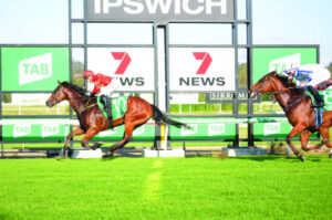 Patis keen to keep ride on Festival Prince