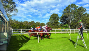 Start me up: The Cup can’t go on without Danielle