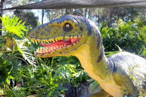 New exhibition will be dino-mite